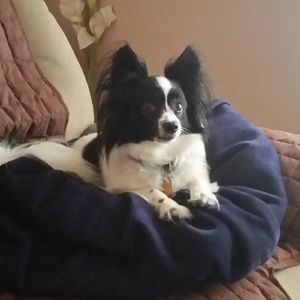 Meet your Posher, Renee